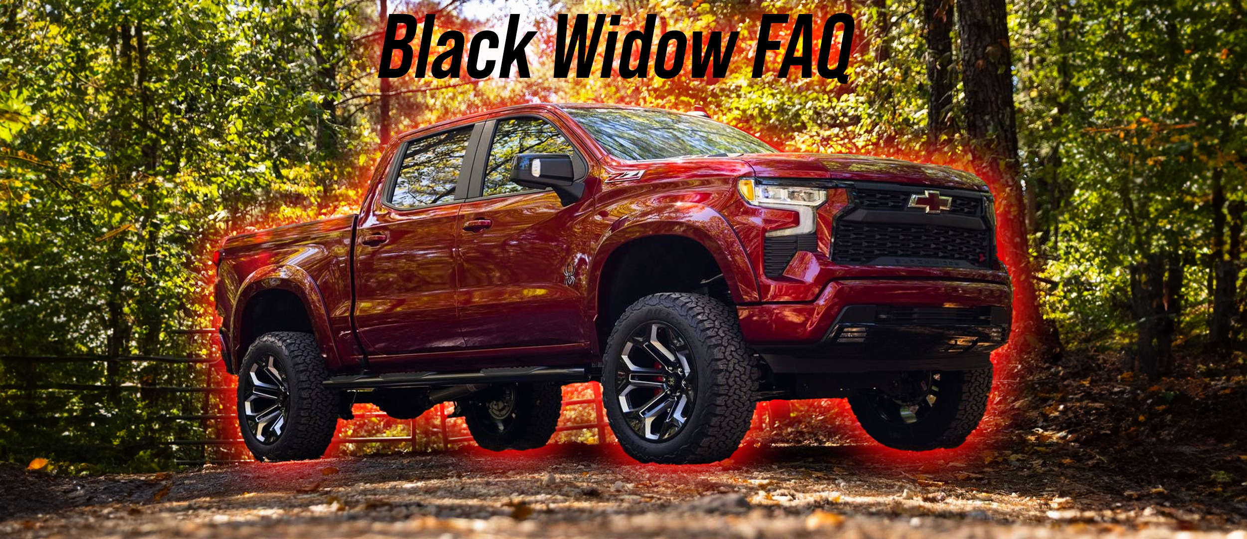 Black Widow FAQ