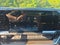 2026 Chevrolet Silverado 3500 HD Chassis Cab LT