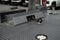 2026 Chevrolet Silverado 3500 HD Chassis Cab LT