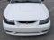 2001 Ford Mustang SVT Cobra