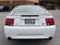 2001 Ford Mustang SVT Cobra