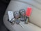 2024 Chevrolet Express Passenger LS