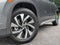 2025 Volkswagen Tiguan S