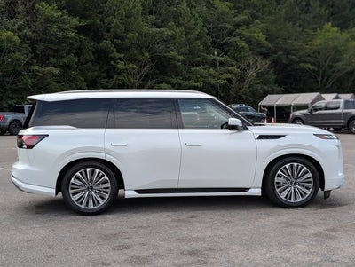 2025 INFINITI QX80 SENSORY