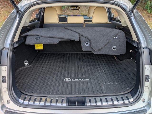 2021 Lexus NX NX 300h