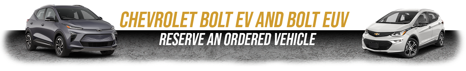 Bolt EV and Bolt EUV waiting recall